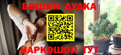 молекула духа Новодвинск